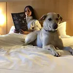 Hotel Ibis 2*