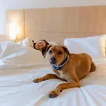 Hotel Ibis 2*