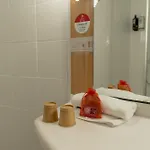 Hotel Ibis Ripollet