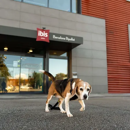 Ibis Hotel 2*